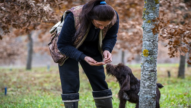Arcadia bağları kış trüfü sezonunu açtı
