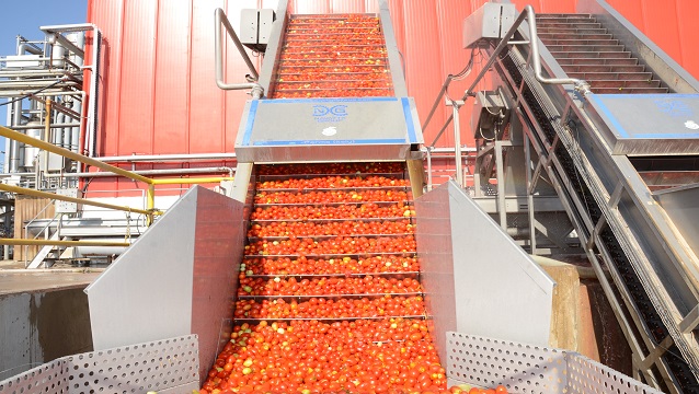 Assan Foods yeni domates işleme sezonunu açtı