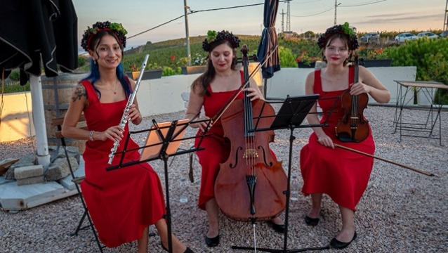  Avşa, bağların ve lezzetlerin adası oldu