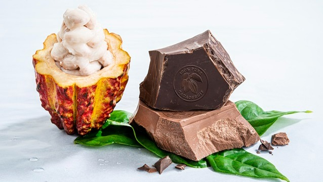 Barry Callebaut, 2024 Çikolata Trendleri