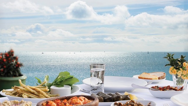 Buselik şimdi de DoubleTree by Hilton Bodrum Marina Vista’da