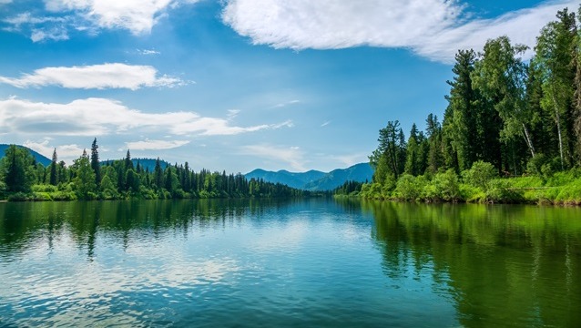 Doğayı korumak zorundayız