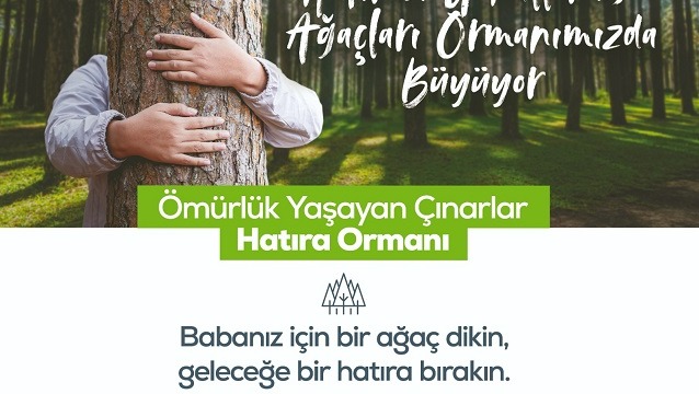  Geleceğe Kök Salacak Bir Ağaç, Babalarımızın Hatırasını Ölümsüz Kılacak...