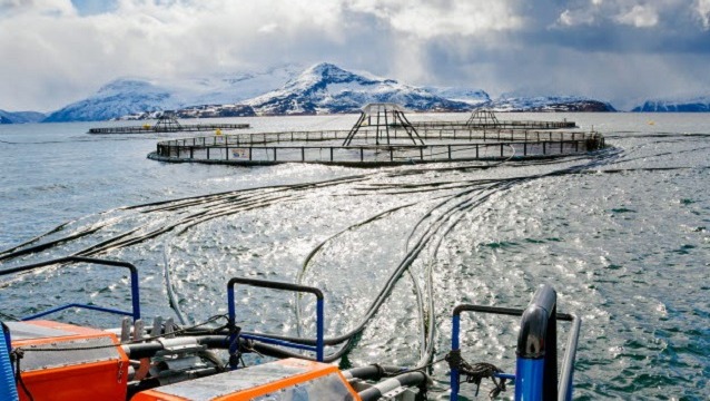 Lerøy Salmon ™ Deniz Ürünleri Endüstrisi Standartlarını aşan kalitesiyle tescillendi