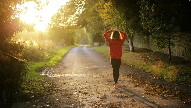 Longevity’nin yeni dili:  Metabolizma, ritim ve mutfak