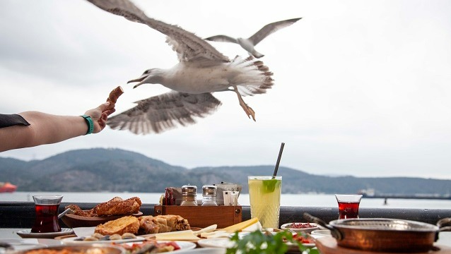 Sarıyer’in Göze’si