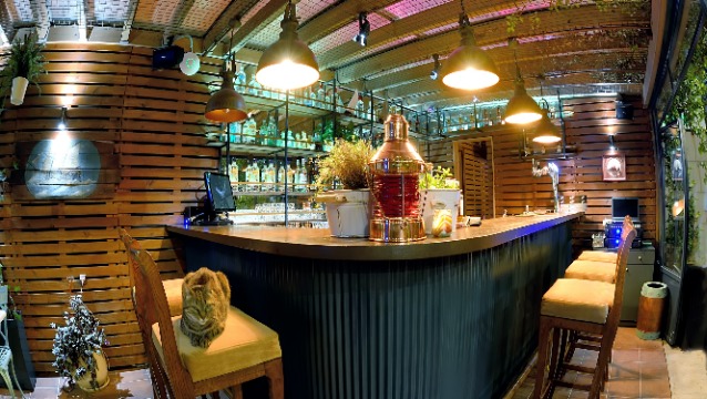 Şehrin yeni kedisiyle tanışın: The Sailor Cat – Gastropub