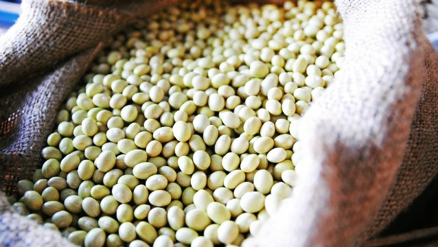 Slow Food, Dünya Bakliyat Günü'nü yeni bir manifestoyla kutluyor