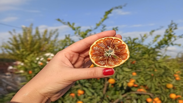 The 7; Lezzetinin kaynağı, doğaya saygılı üretim anlayışı