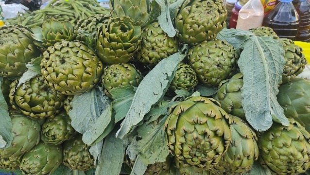 Urla’da bir enginar masalı