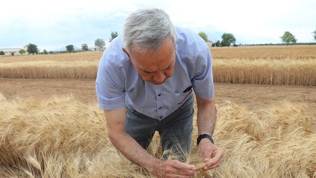 Yerli Üretim, Duru'yla sofralarda