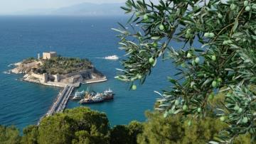 Kuşadası Zeytin Festivali için geri sayım başladı